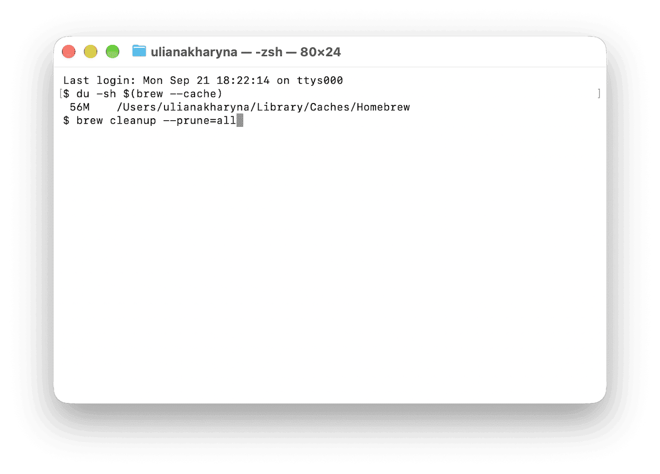 Terminal running brew cleanup prune all to delete Homebrew cache