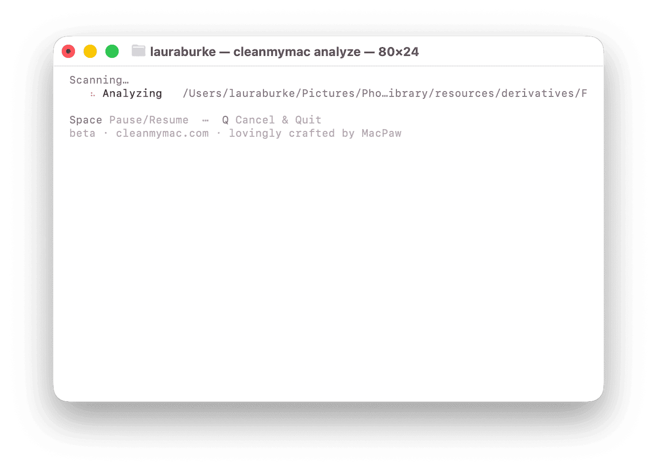 CleanMyMac analyze command scanning Photos library derivatives folder