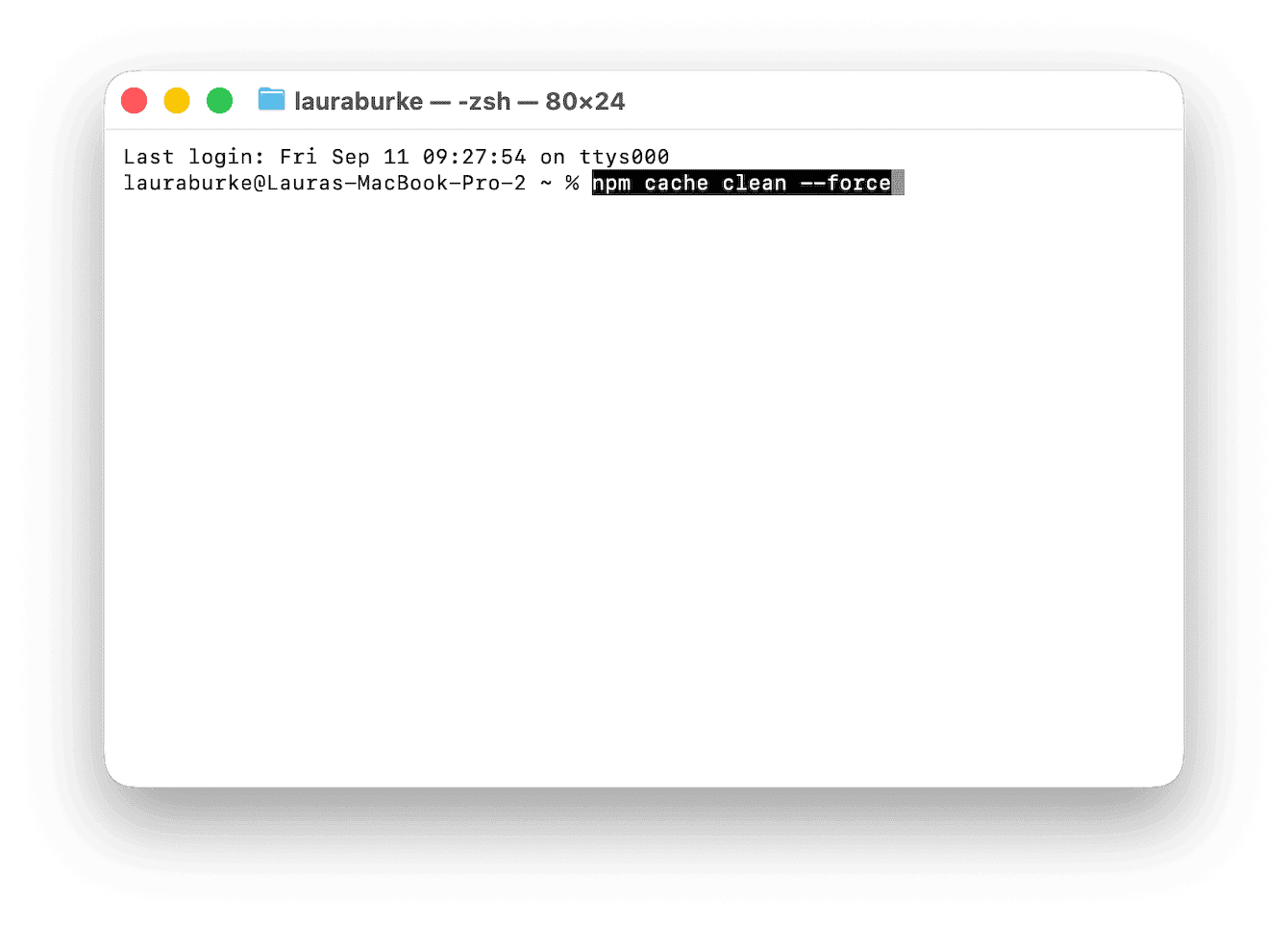 Terminal window running npm cache clean --force command on macOS