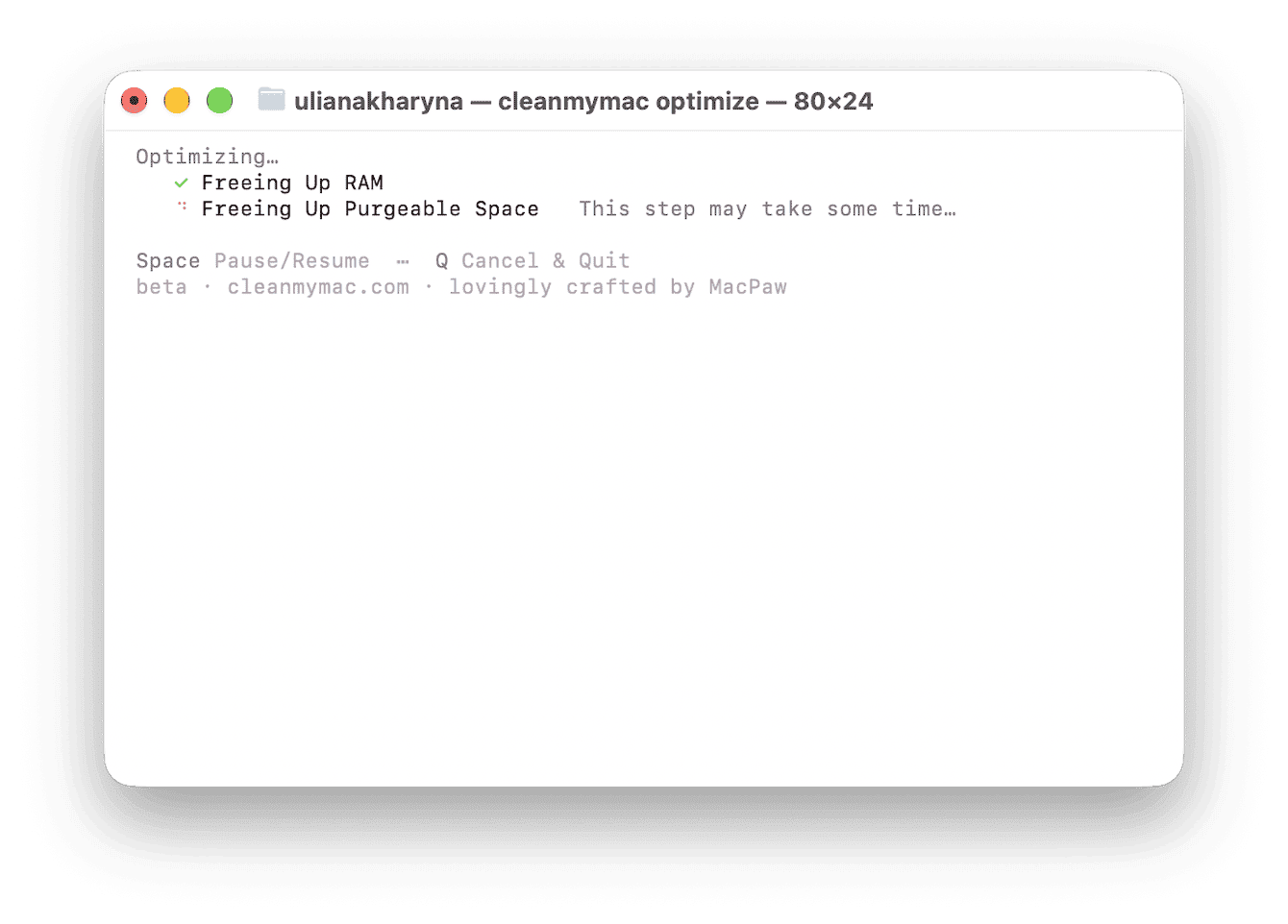 CleanMyMac optimize freeing up RAM and purgeable disk space