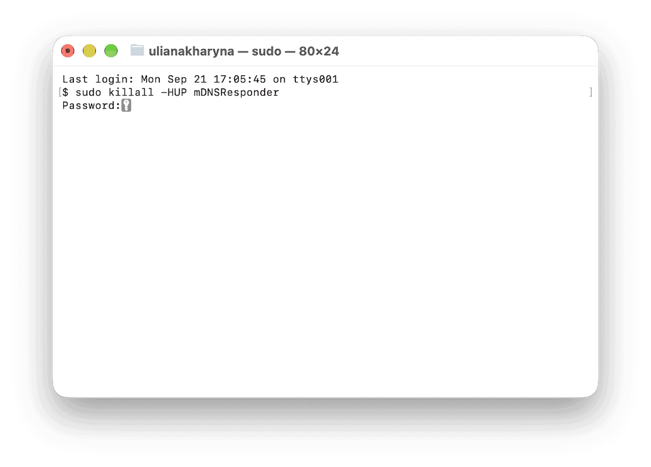 Terminal sudo command flushing DNS resolver via mDNSResponder restart