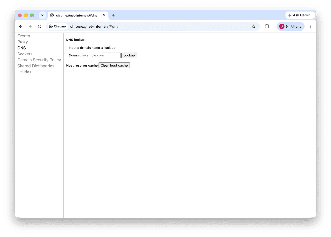 Chrome browser DNS lookup page for clearing host resolver cache