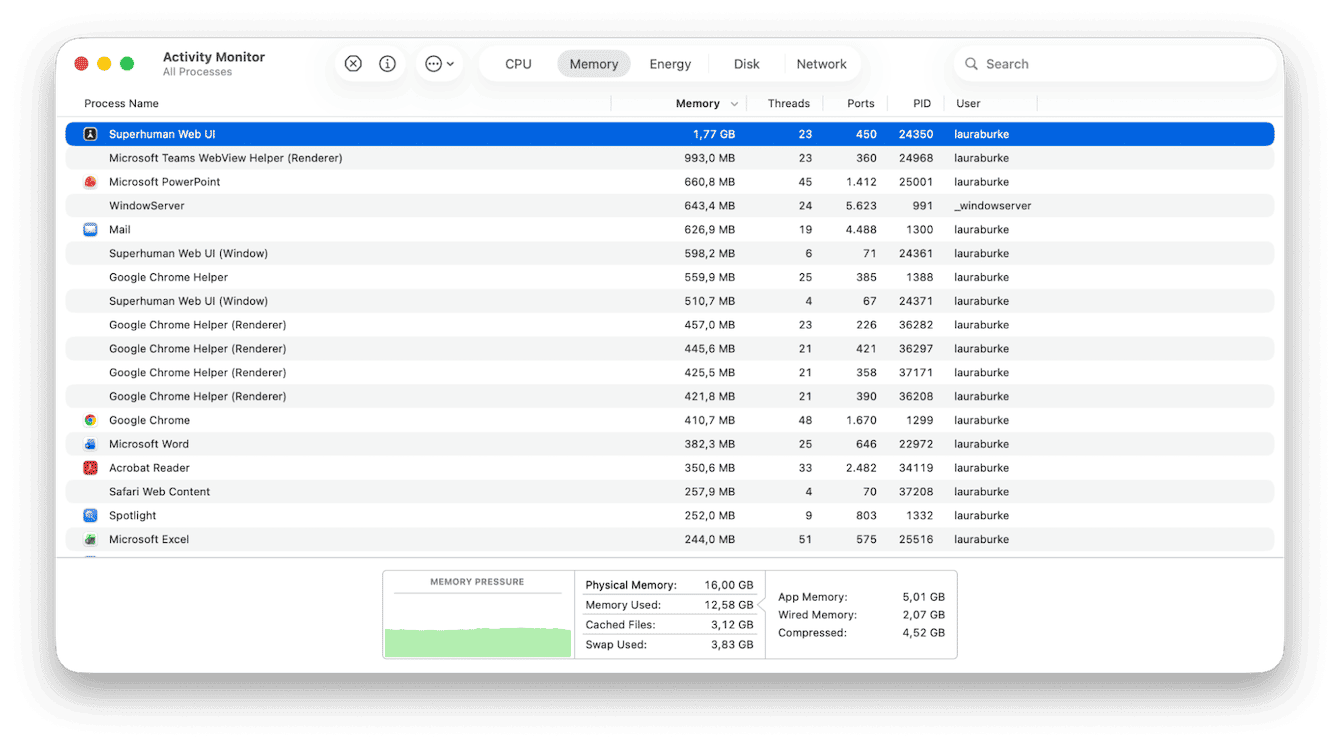 Activity Monitor on Mac