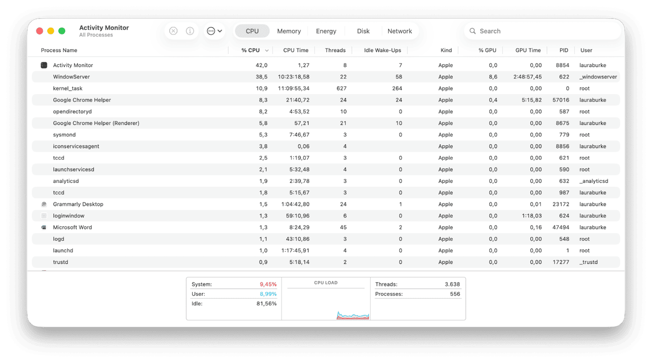 Activity Monitor on Mac