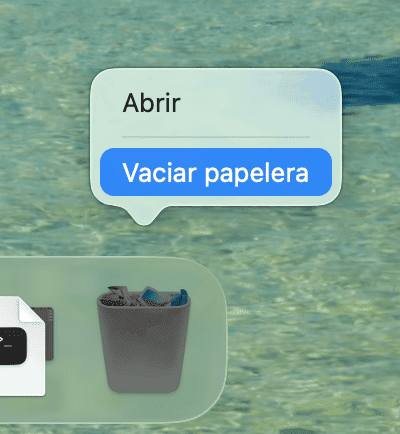 Vac&iacute;a la papelera