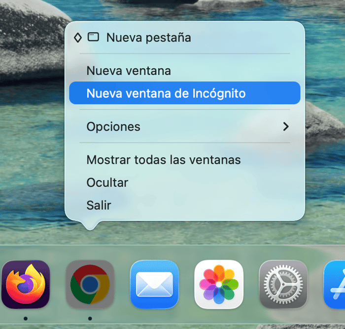 Abre la p&aacute;gina en modo inc&oacute;gnito