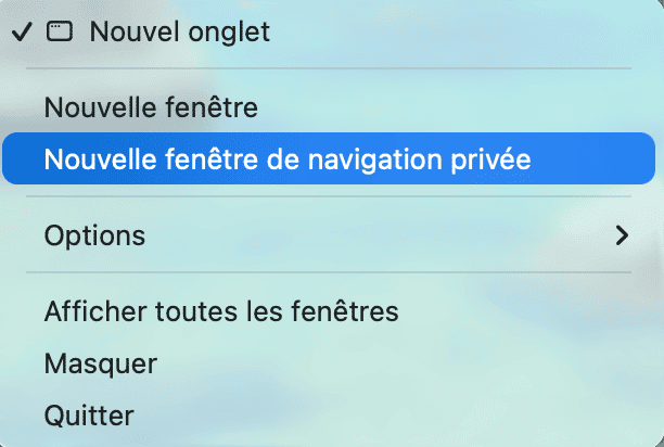 Nouvelle fen&ecirc;tre de navigation priv&eacute;e