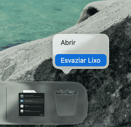 Esvazie o Lixo