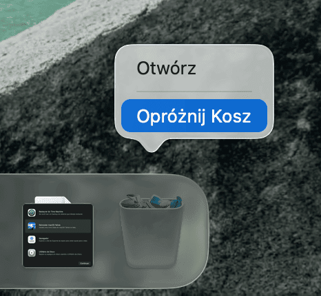 Opr&oacute;żnij Kosz