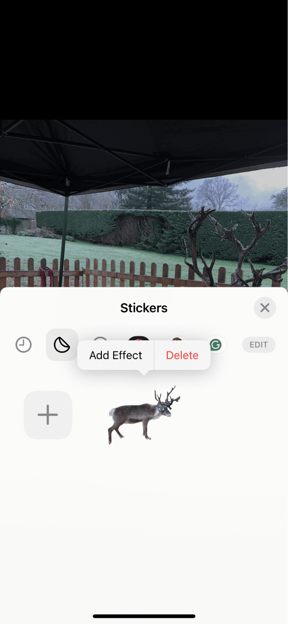Make a sticker on an iPhone