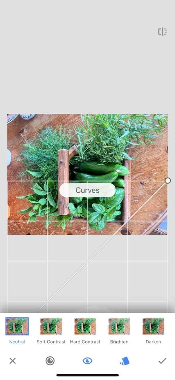 Snapseed app on iPhone