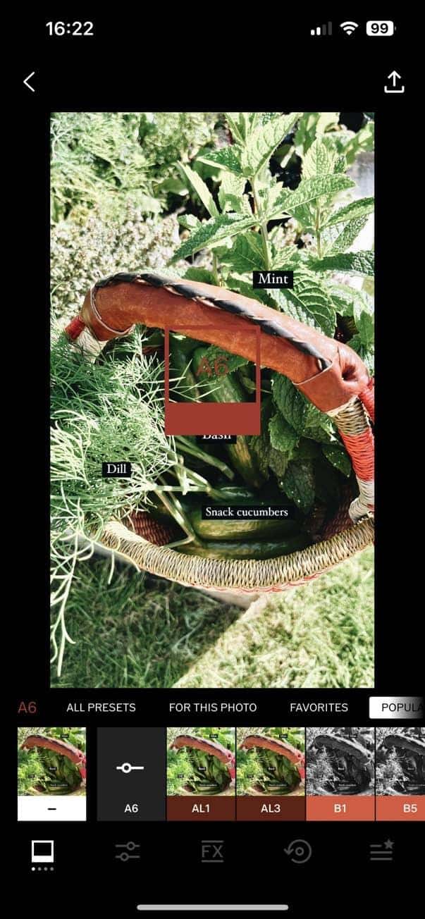 VSCO app for editing photos on iPhone