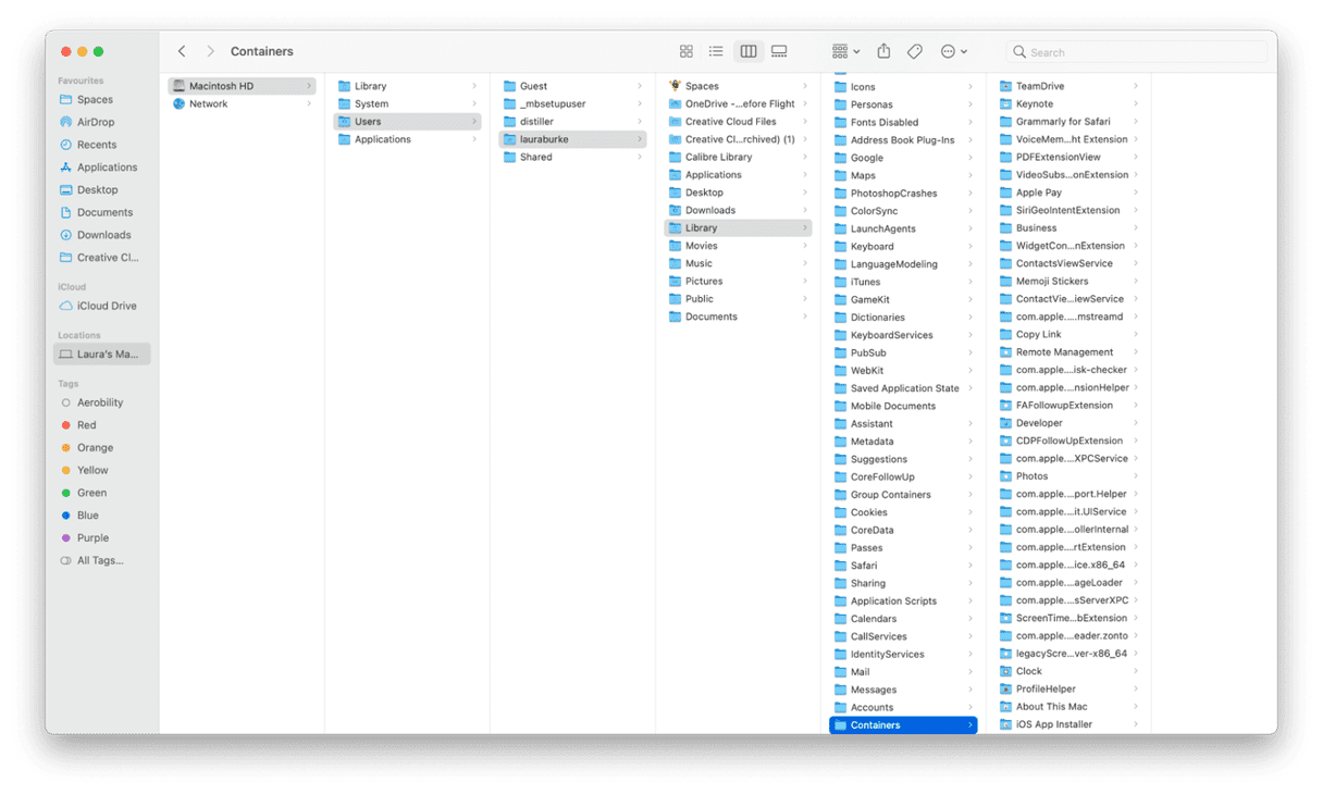 Cleaning up user library containers
