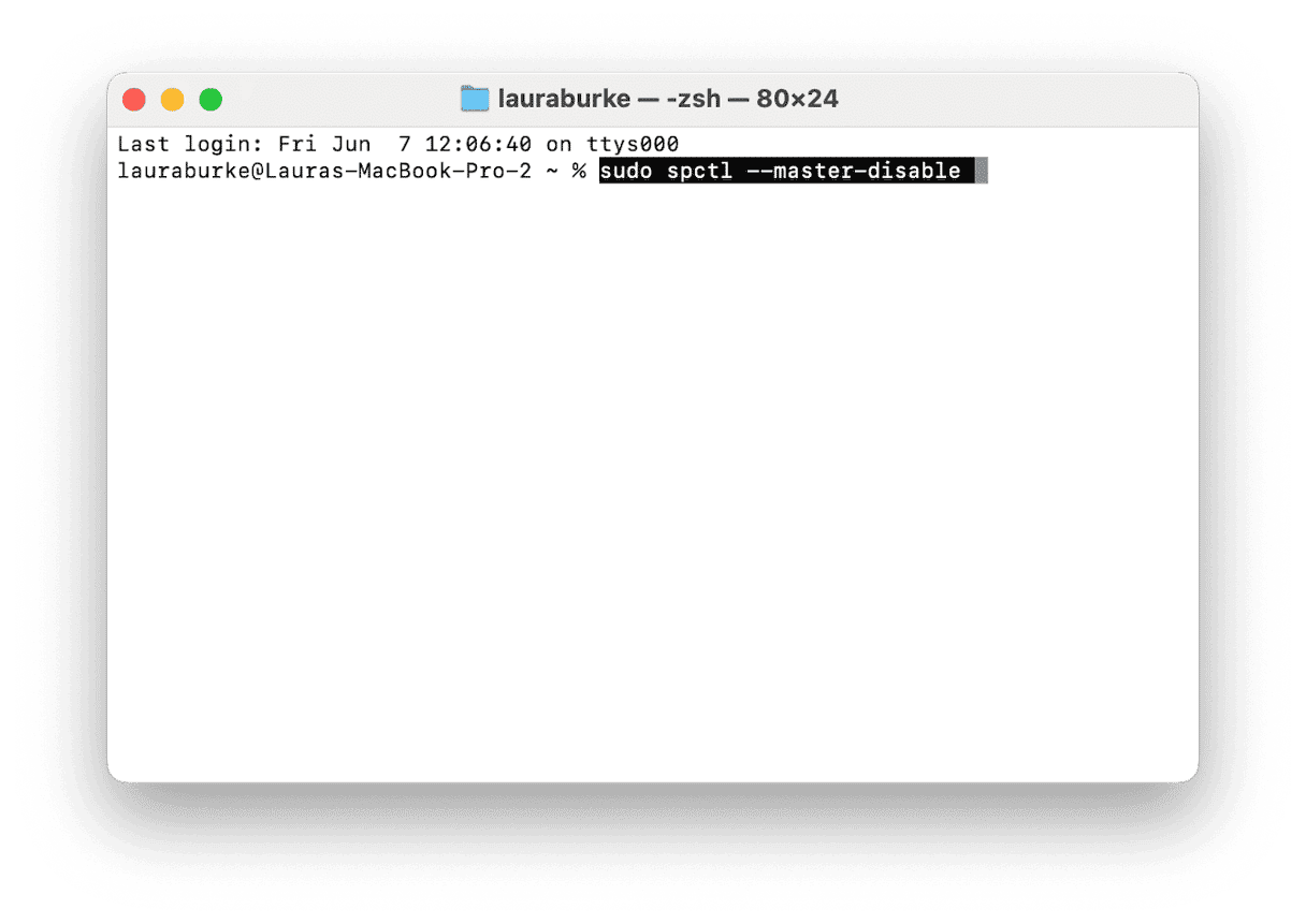 sudo spctl --master-disable command in Terminal