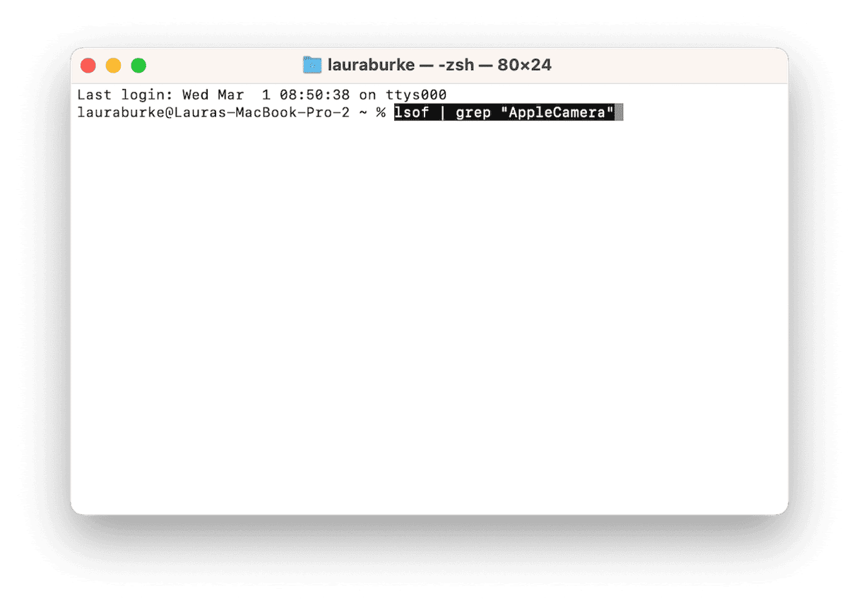Terminal to check webcam history