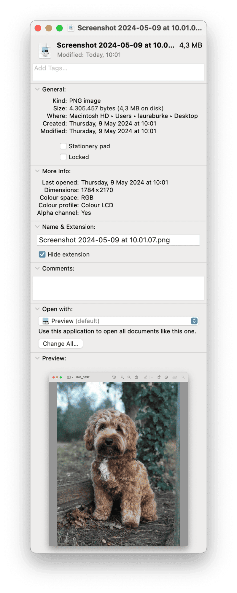 MacBook Preview feature
