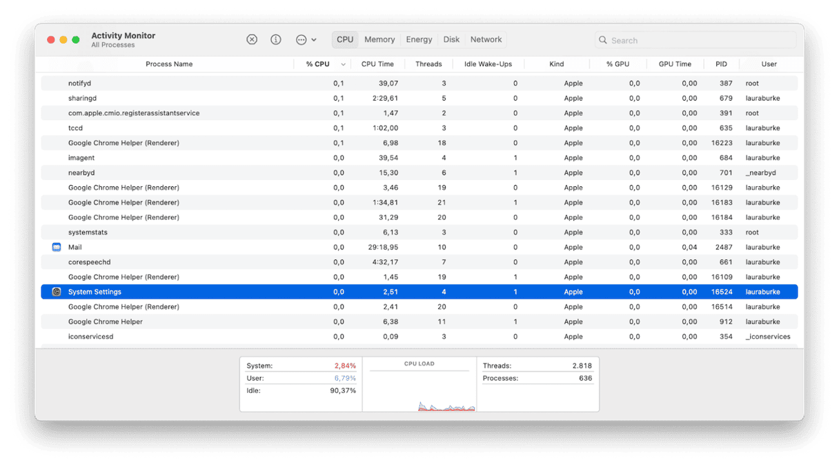 Activity Monitor on Mac