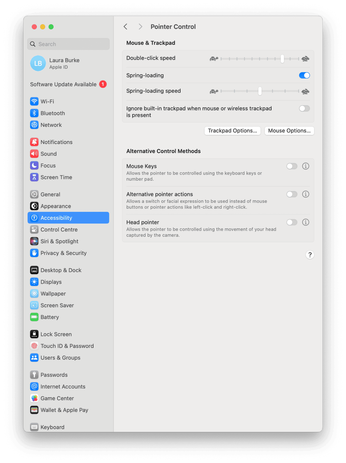 Pointer Control settings