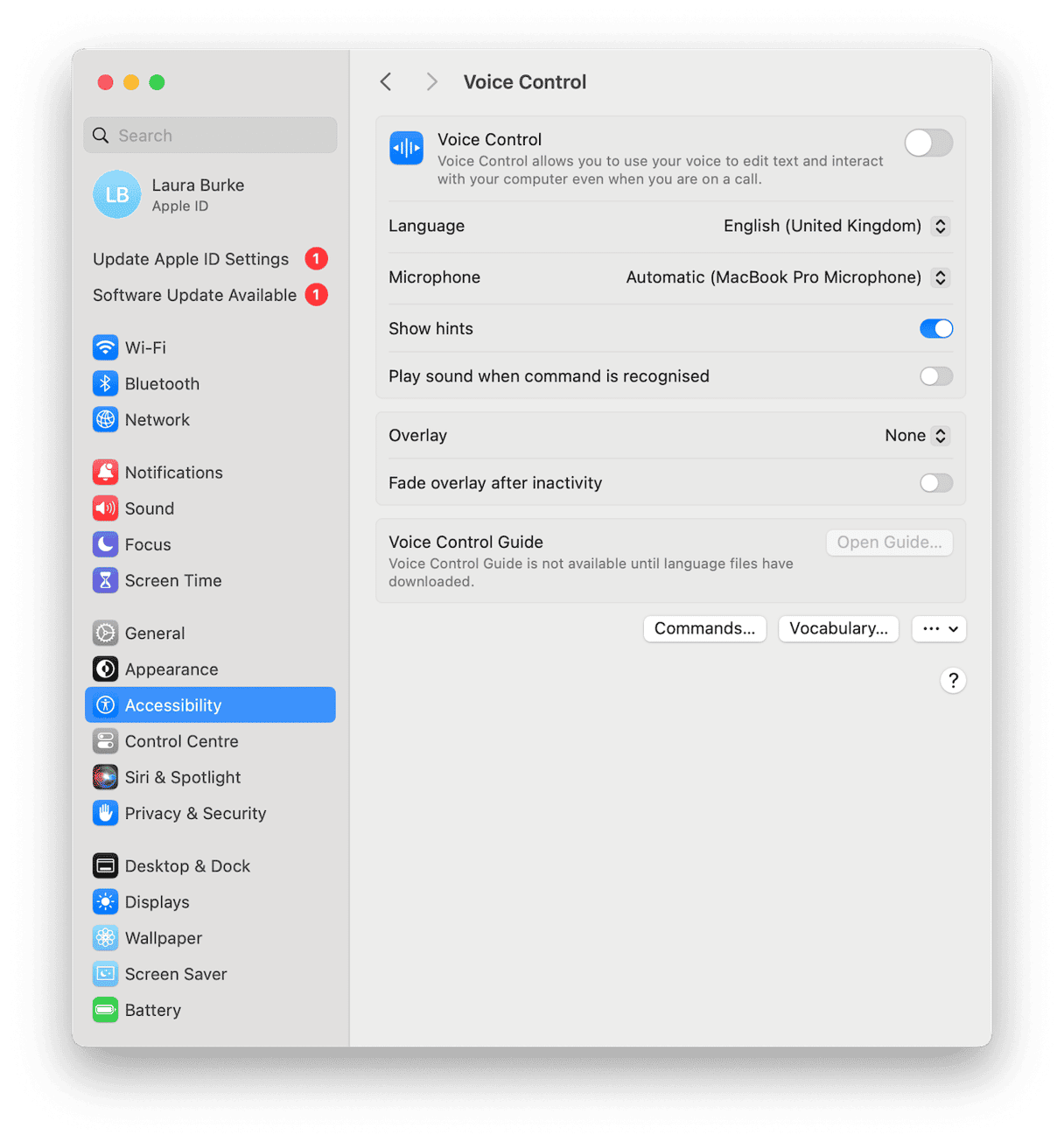 Voice Control settings