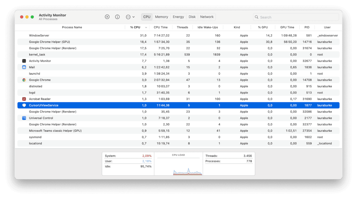 Activity Monitor on Mac