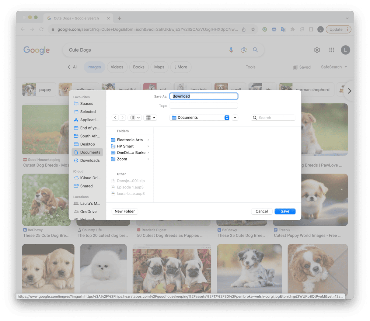 How to save an image on a Mac with right click