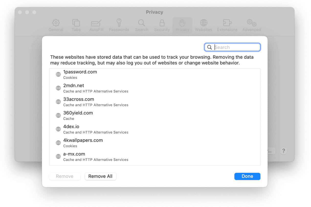 Safari Privacy Settings