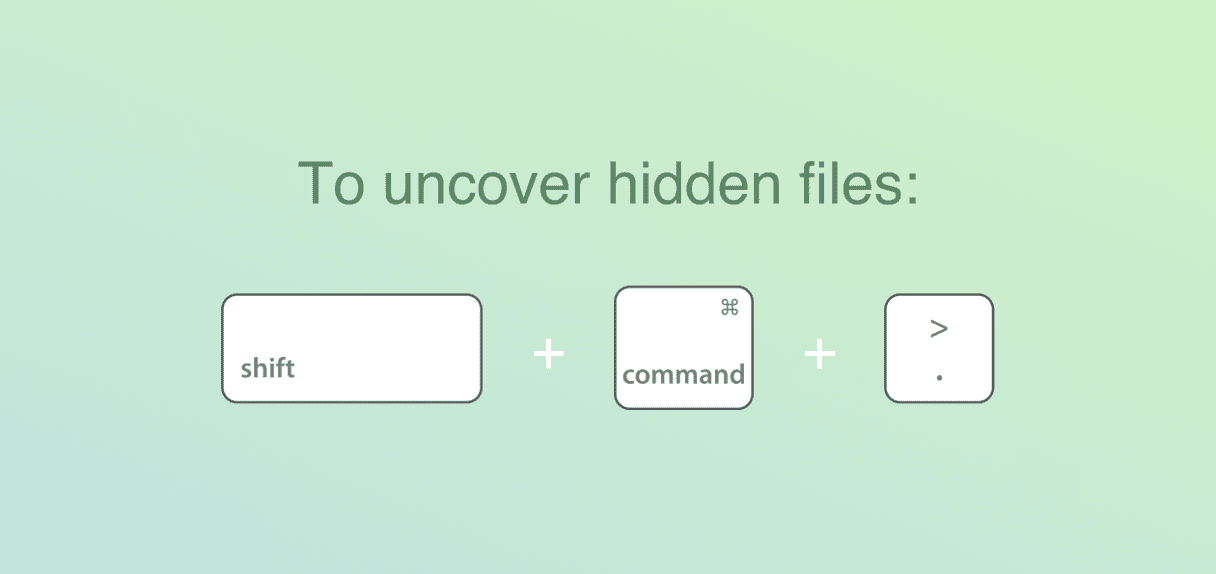 Busca archivos ocultos en tu disco