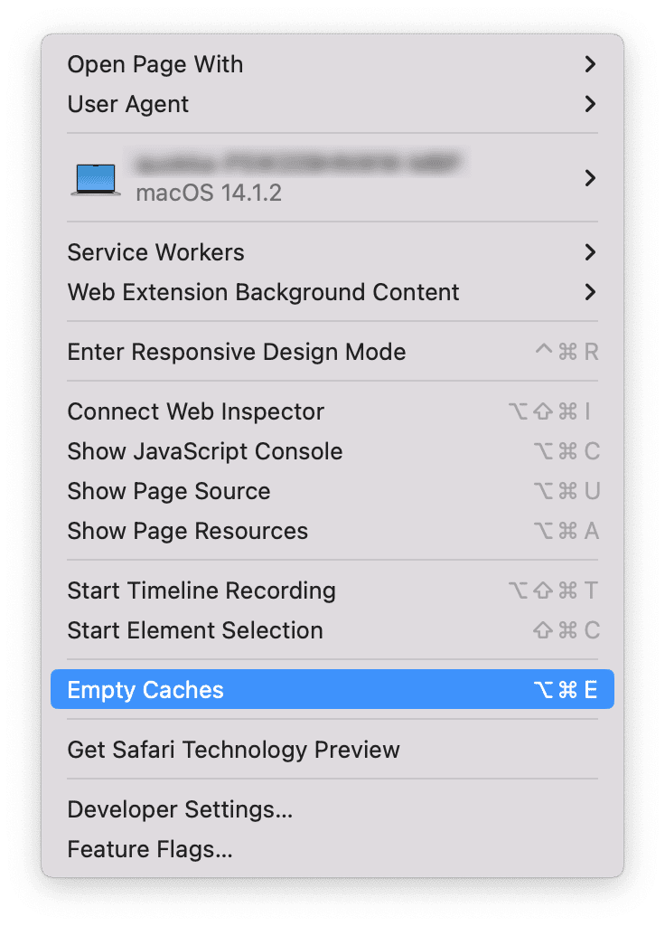 이후, 캐시 비우기를 클릭합니다