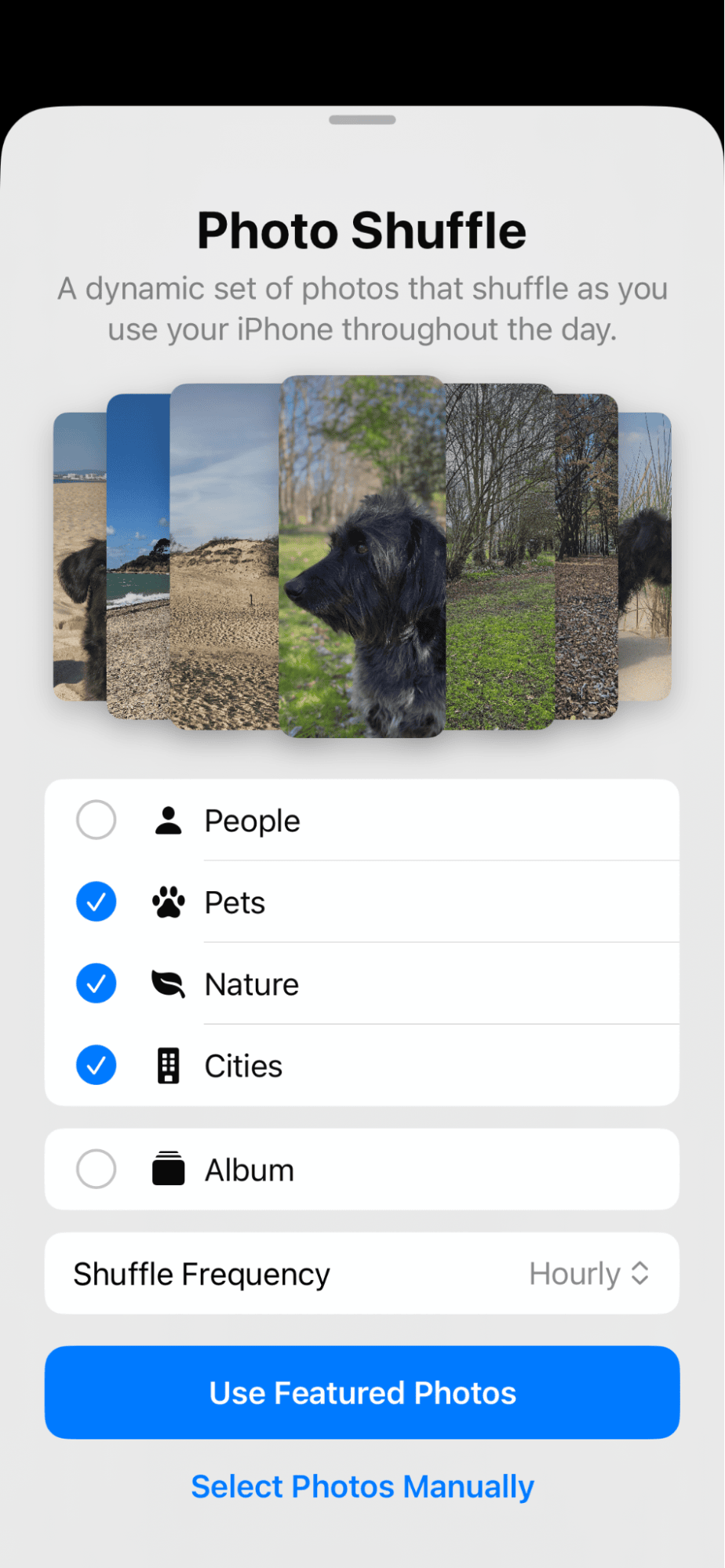 Photo shuffle function on iPhone